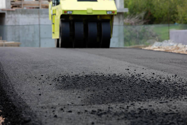 Best Driveway Paving Contractor  in Canon, GA